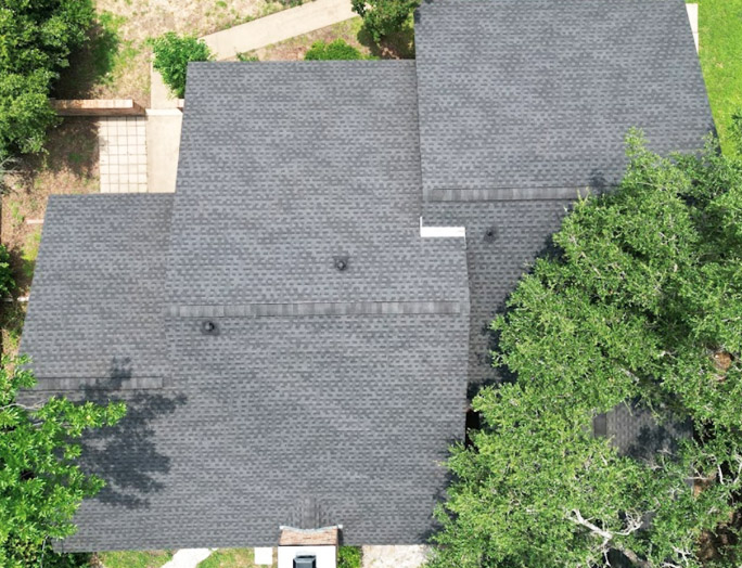 LOA Review, Alec Kanechny