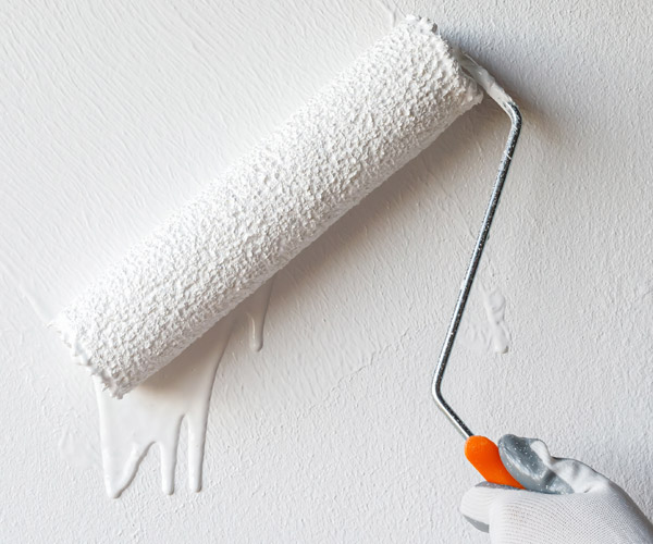 Professional Painting