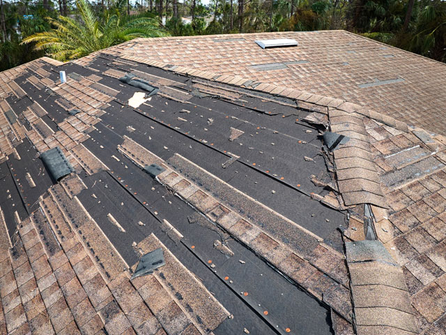 Storm Damage in San Antonio